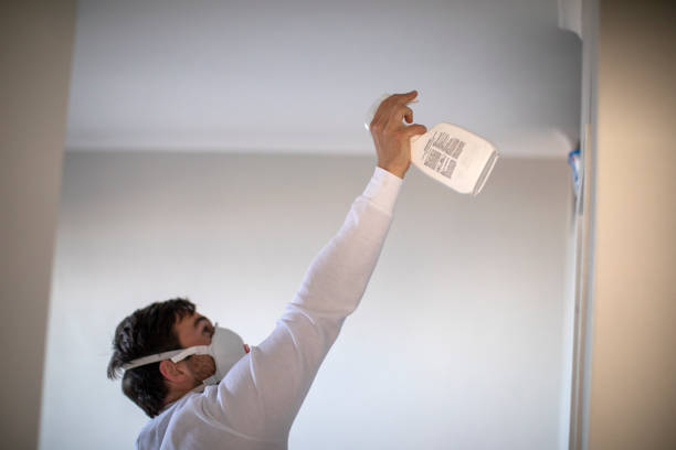 Best Black Mold Removal  in Poynette, WI