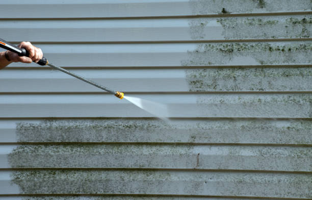Mold Testing and Removal in Poynette, WI